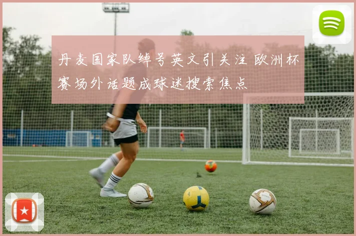 丹麦国家队绰号英文引关注 欧洲杯赛场外话题成球迷搜索焦点