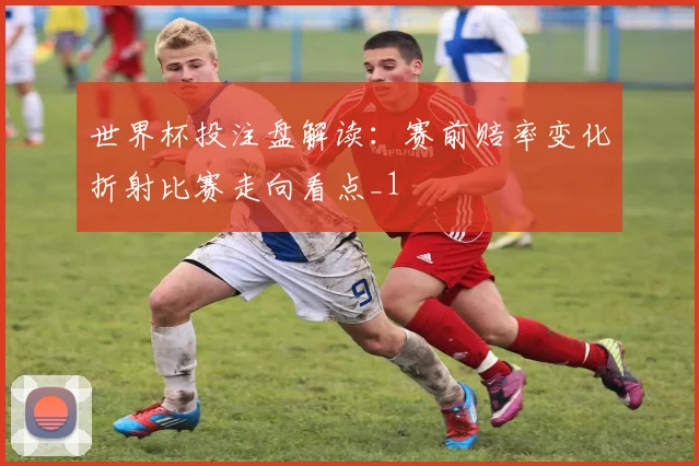 世界杯投注盘解读:赛前赔率变化折射比赛走向看点_1