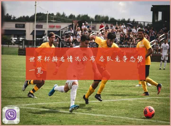 世界杯排名情况公布 各队竞争态势一览