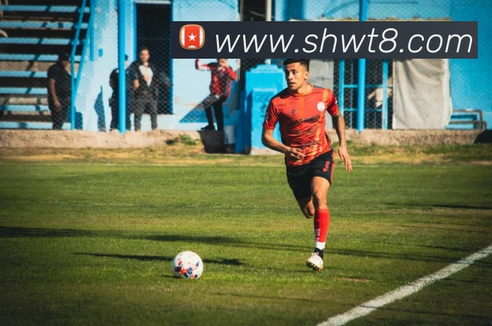 开云手机入口官方网站平台生态图